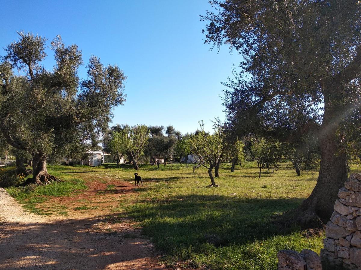 Piccolo Trullo Ostunese Le Jardin De Sophie' Ostuni Ngoại thất bức ảnh