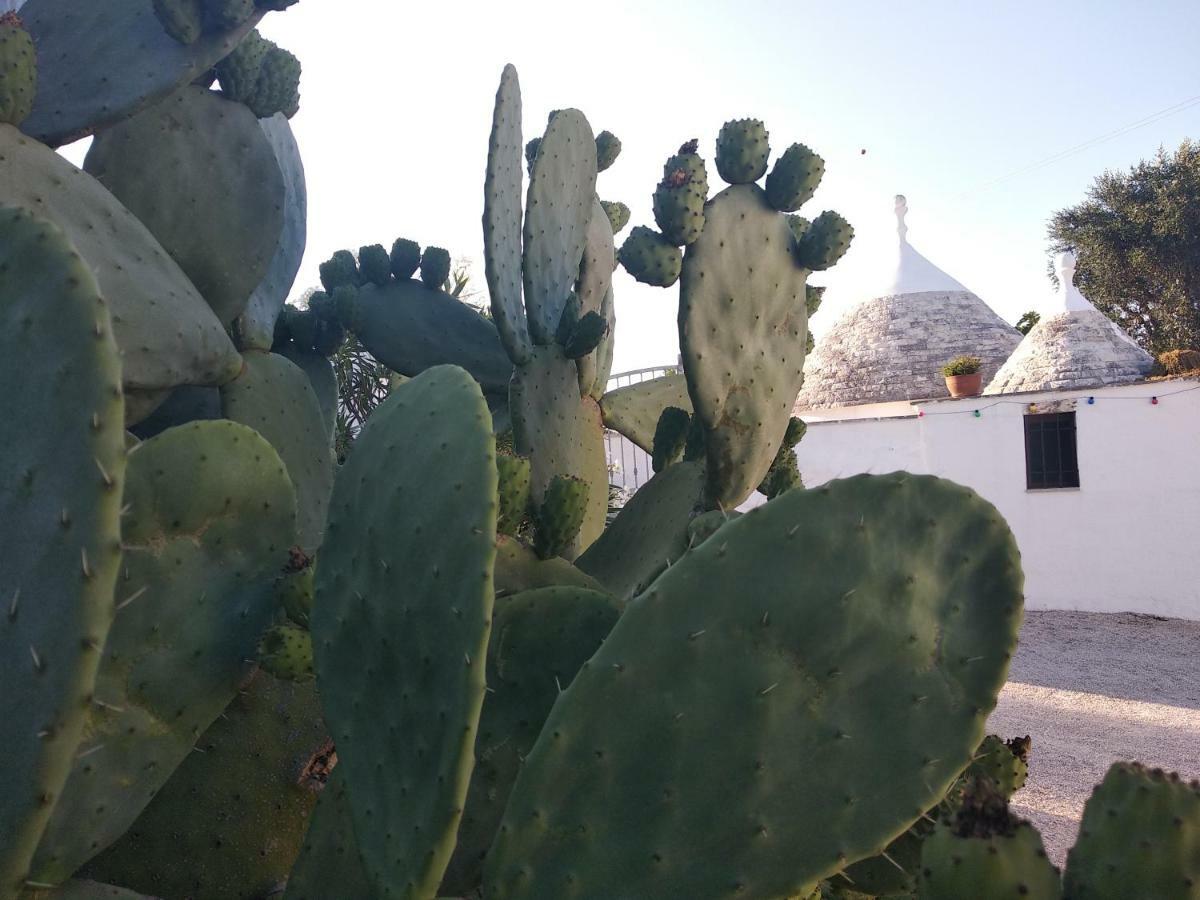 Piccolo Trullo Ostunese Le Jardin De Sophie' Ostuni Ngoại thất bức ảnh