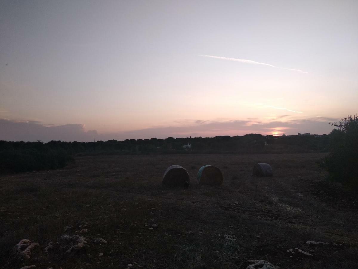 Piccolo Trullo Ostunese Le Jardin De Sophie' Ostuni Ngoại thất bức ảnh